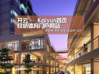案例展示一